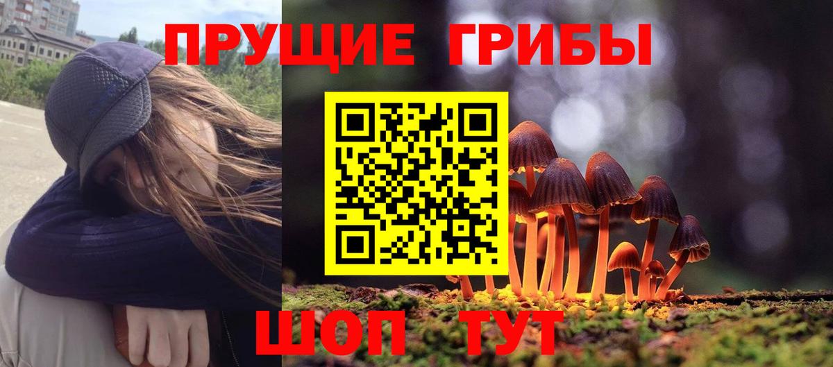 Галлюциногенные грибы прущие грибы Красноуфимск