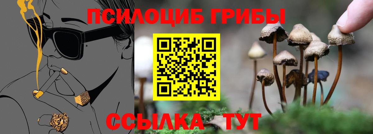 Красноуфимск  Псилоцибиновые грибы Magic Shrooms  Галлюциногенные грибы Psilocybine cubensis  Вход с VPN 